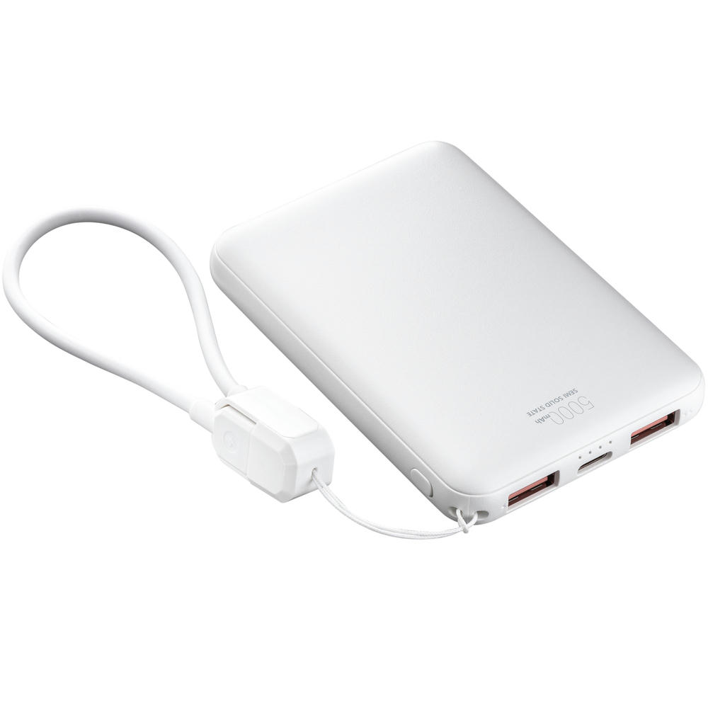 Powerbank REEVES-WATTRON CORE V